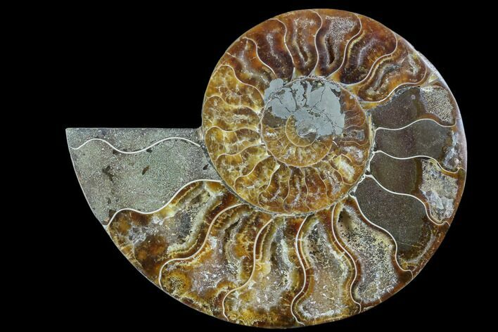 Agatized Ammonite Fossil (Half) - Madagascar #88256